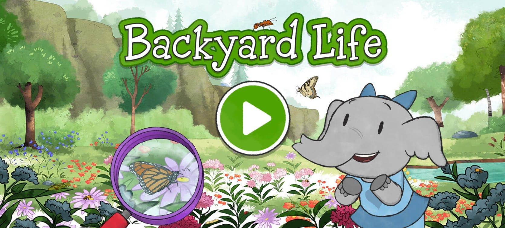 Backyard Life: Explore Nature and Insects